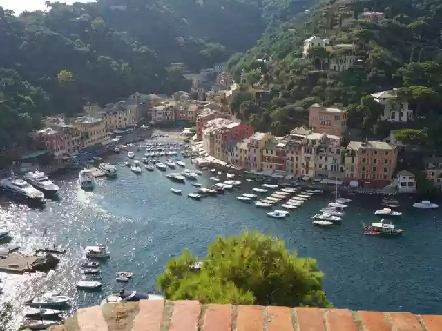 Cenova