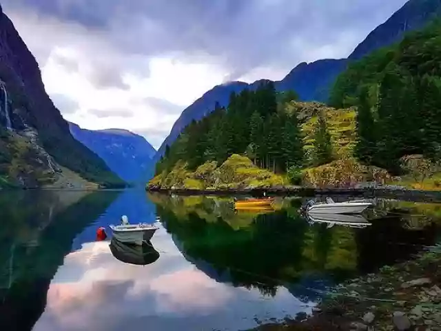 Flaam
