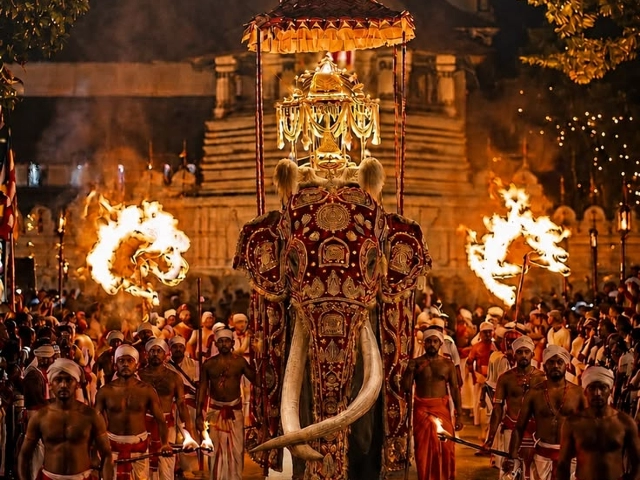 Dolu Dolu Doğa Harikası Sri Lanka Rotası (5 Gece)