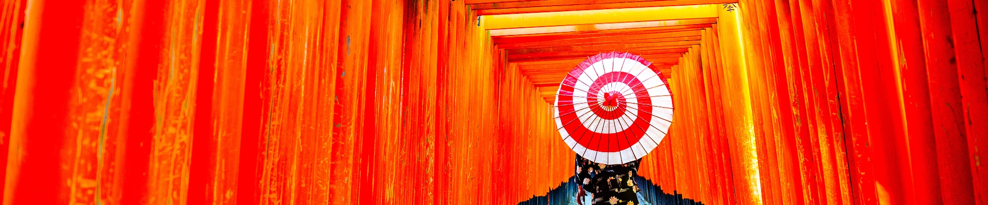 Japan turu - Dolu Dolu Japonya Turu Rotası
