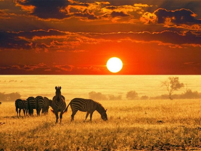 Güney Afrika Safari Turu Rotası