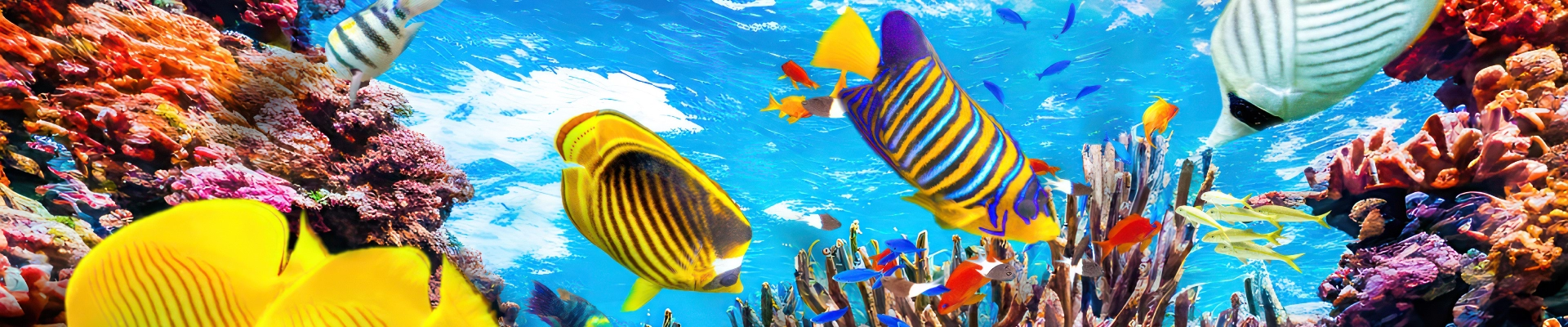 Sharm El Sheikh - Kızıldeniz Rotası Turu (4 Gece - 5 Gün) V2