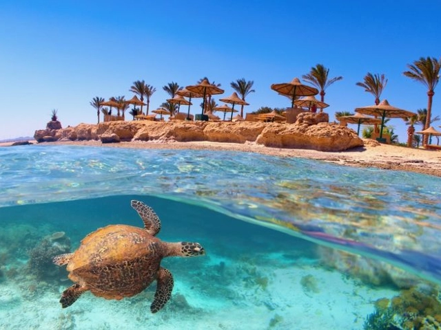 Yılbaşı Özel Nil’den Kızıldeniz’e Kahire & Sharm El Sheikh Rotası